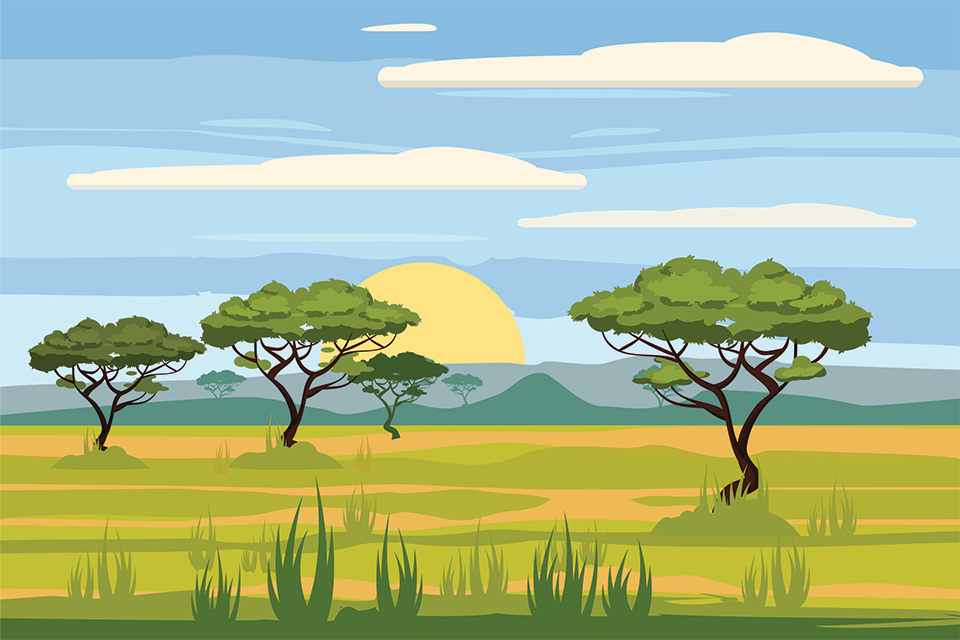 A graphic of a Savannah for the Grade 4 Natural Sciences Cambridge Curriculum.
