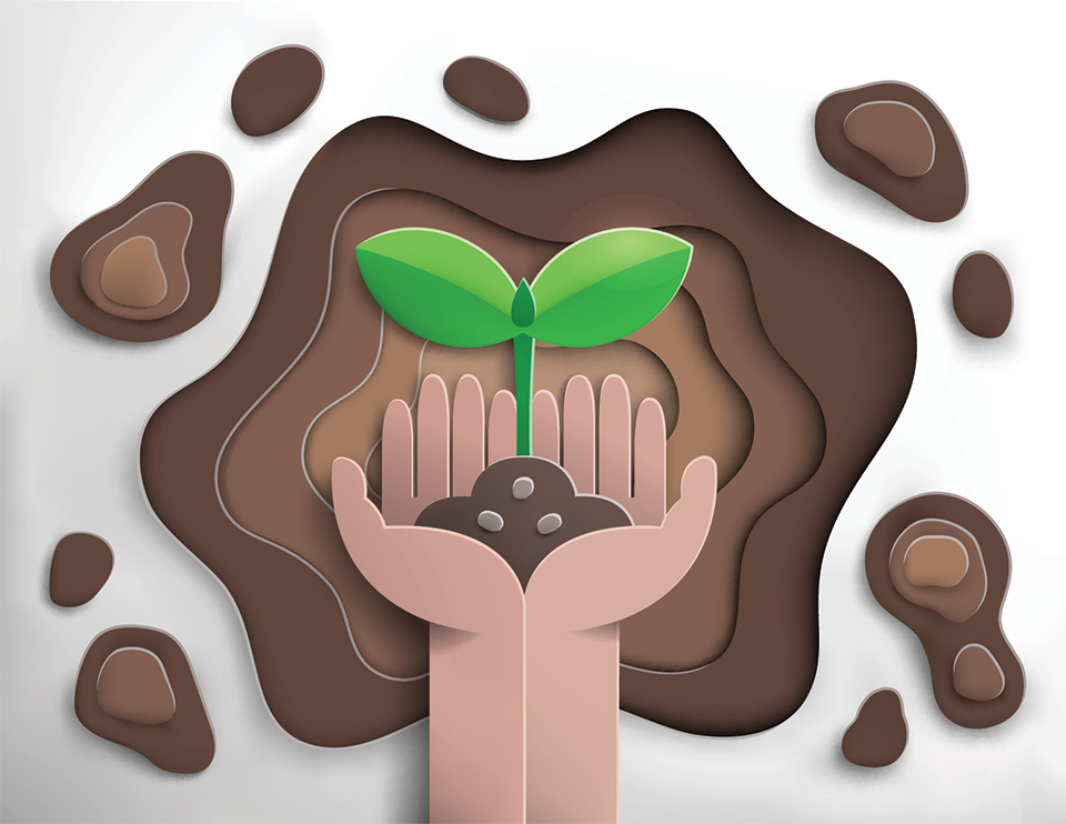 A graphic of two hands holding a growing plant for the Grade 7 Social Sciences Natural Resources and Conservation topic.